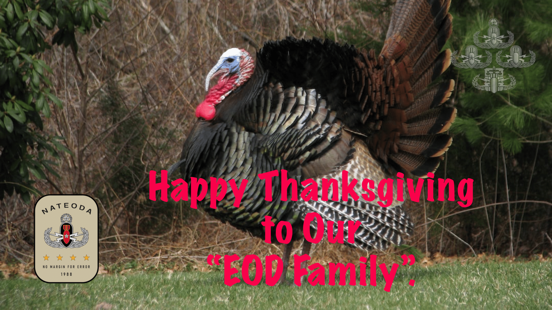 🦃 Happy Thanksgiving 2025 🦃